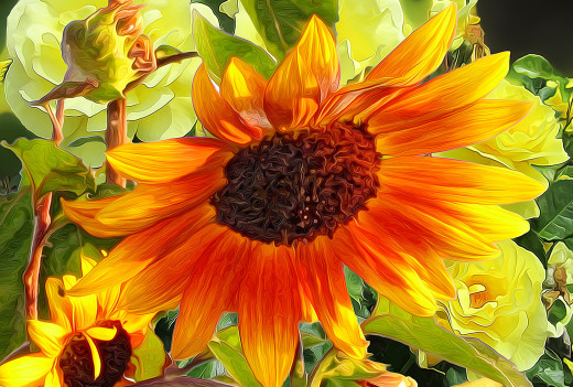 1245362 (a): :1920x1294